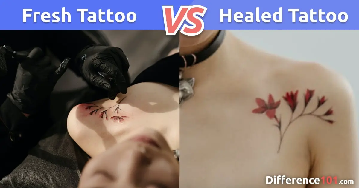 Fresh vs. Healed Tattoo: Differences, Similarities, Pros & Cons |  Difference 101