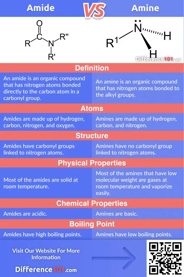 Amide Vs Amine 6 Key Differences Similarities Pros Cons