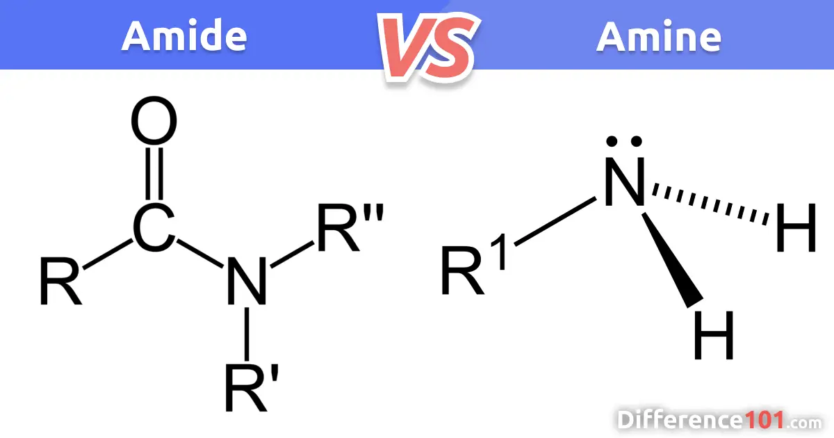 amides vs amines