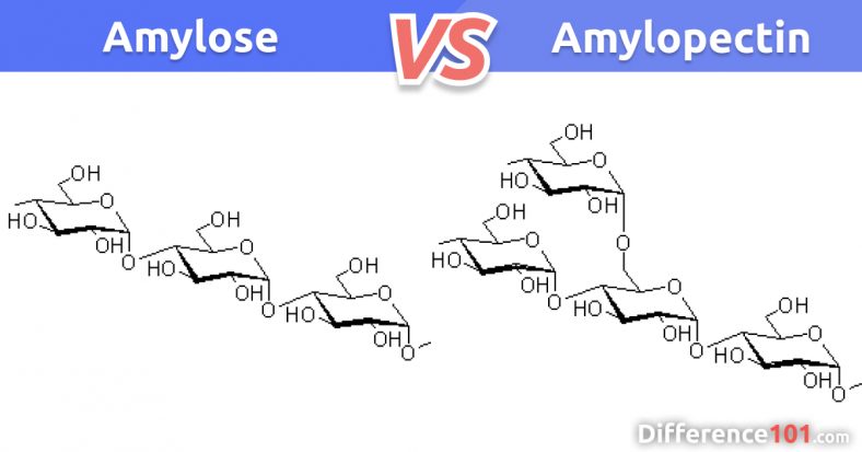 Cuddle Vs Snuggle 7 Key Differences Similarities Pros Cons