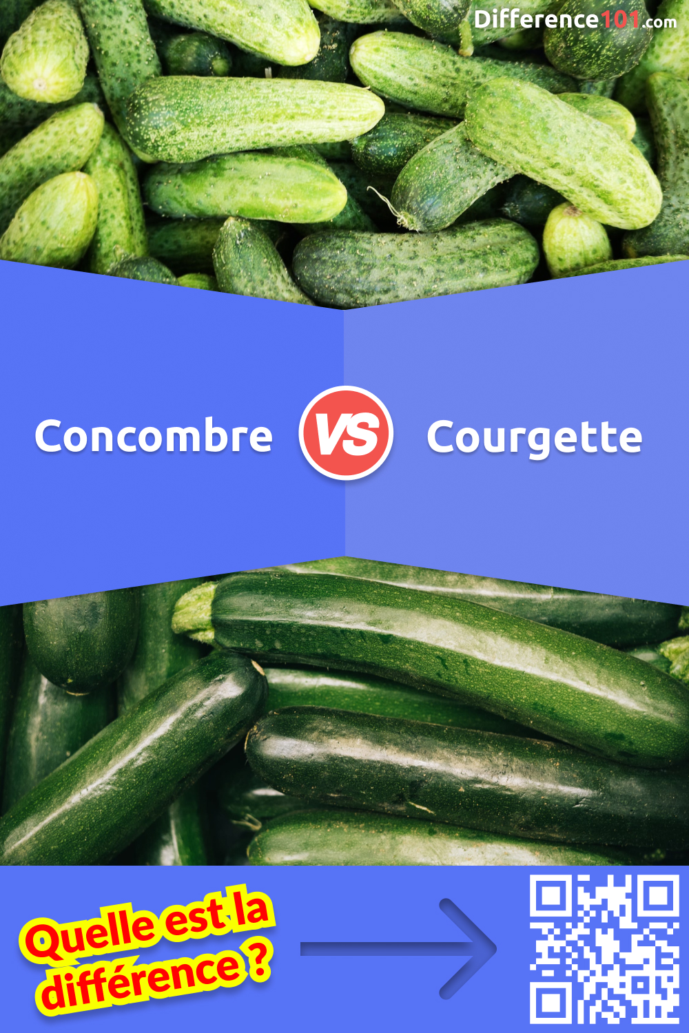 Quelles différences entre le concombre et le cornichon ? : Femme