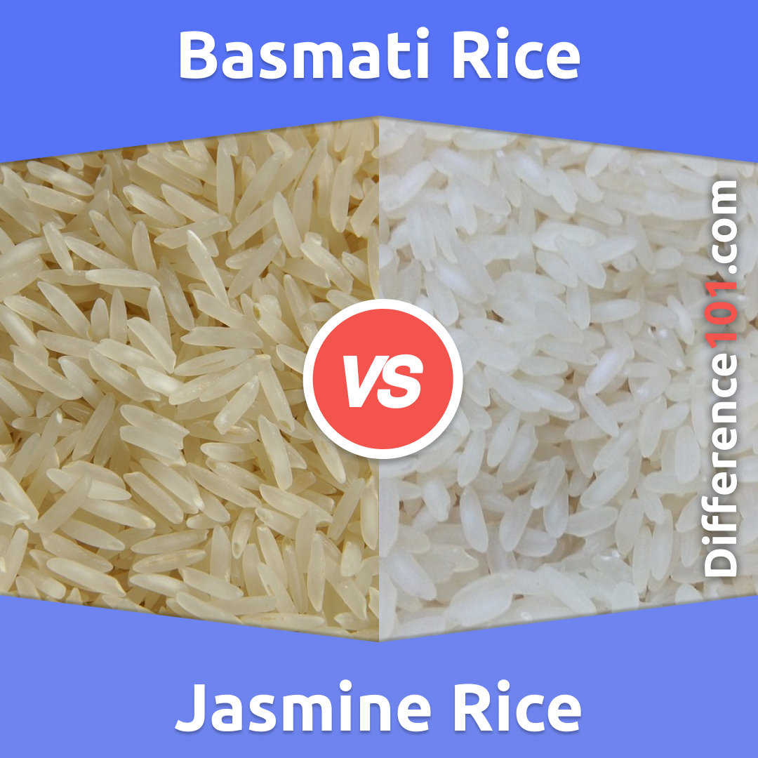 Jasmine Rice vs. Basmati Rice: Differences, Uses, & FAQ