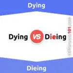 Dying vs. Dieing: 3 Key Differences, Pros & Cons, Similarities