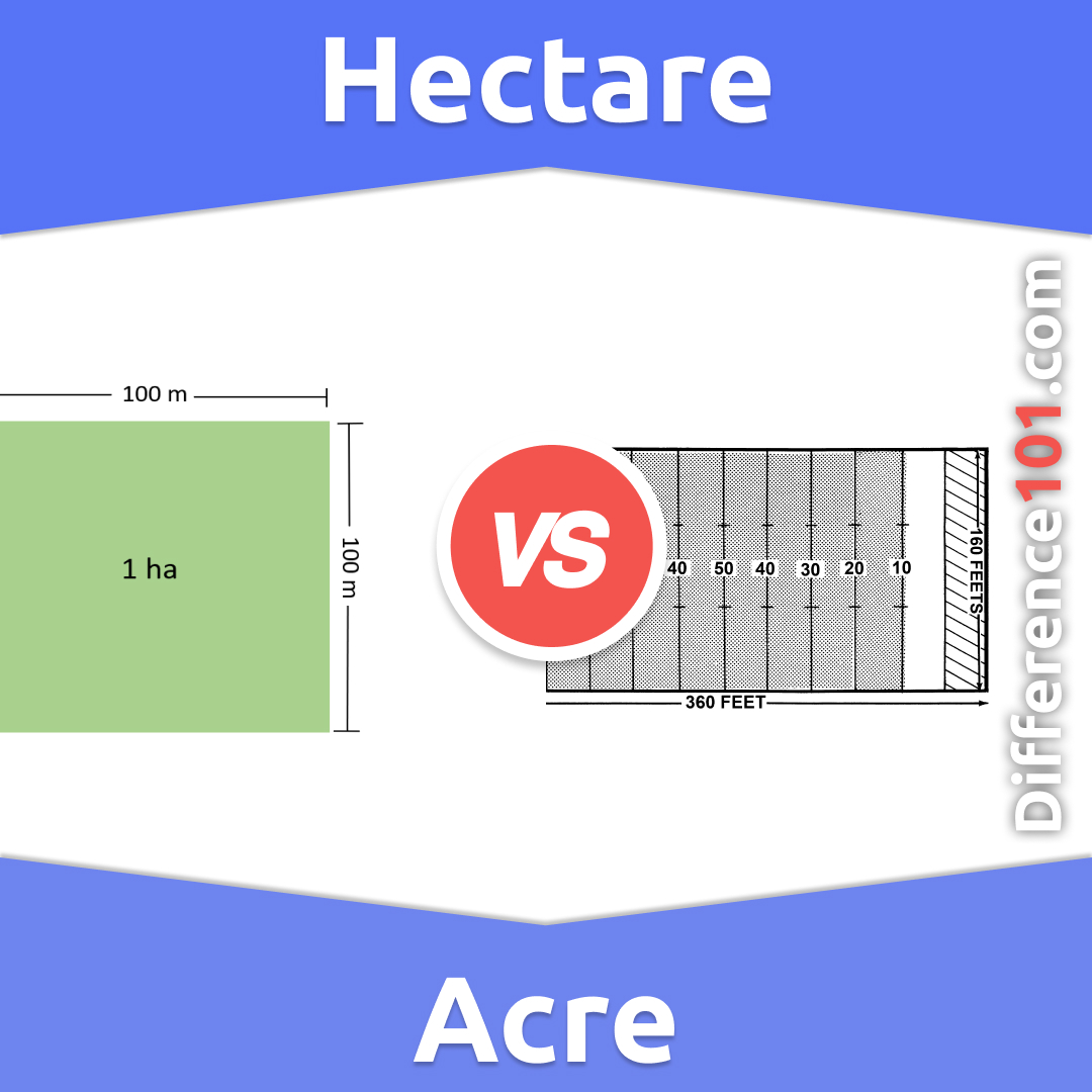 Hectare Acre: Key Differences, Pros Cons, Similarities, 42% OFF