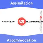Assimilation vs. Accommodation: 5 Key Differences, Pros & Cons, Similarities