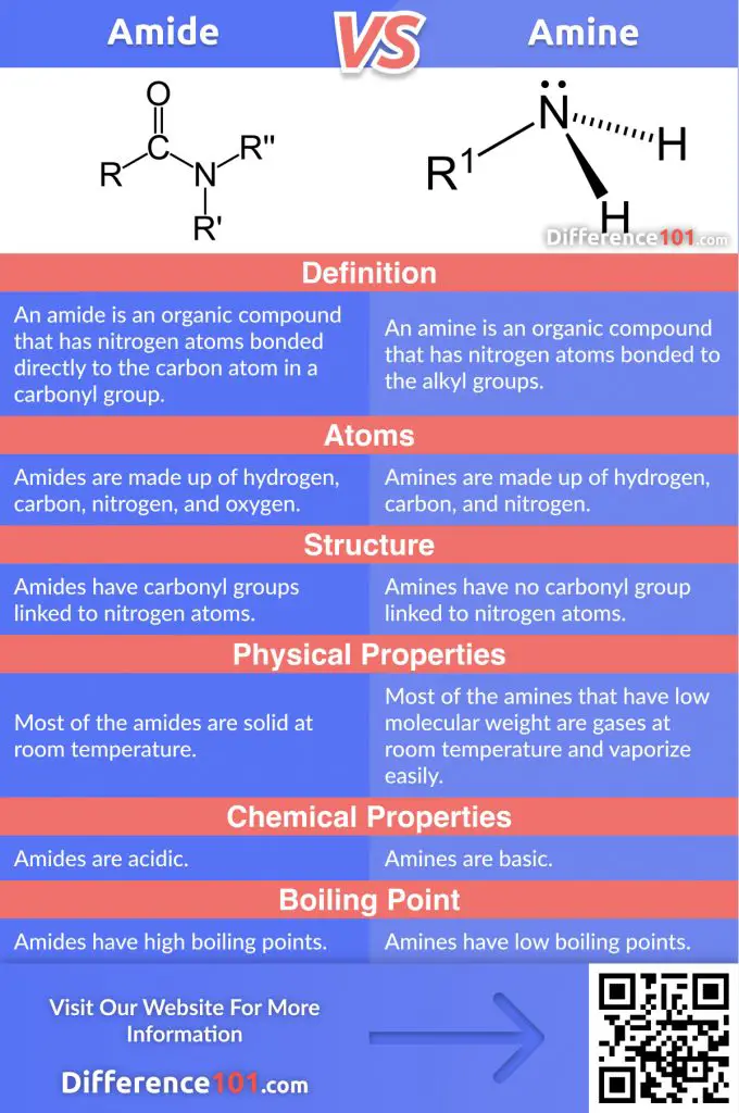 Let’s discover the major difference between Amide and Amine, their Similarities, Pros and Cons, and answer the most popular FAQs you need to know.