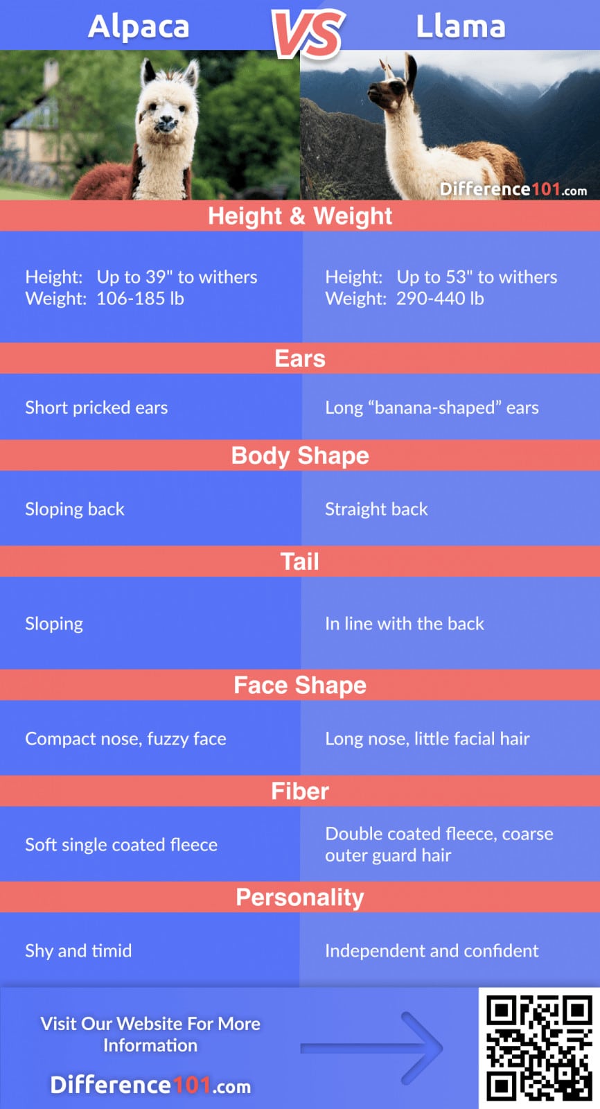 Llama vs. Alpaca: Differences, Similarities, Pros & Cons