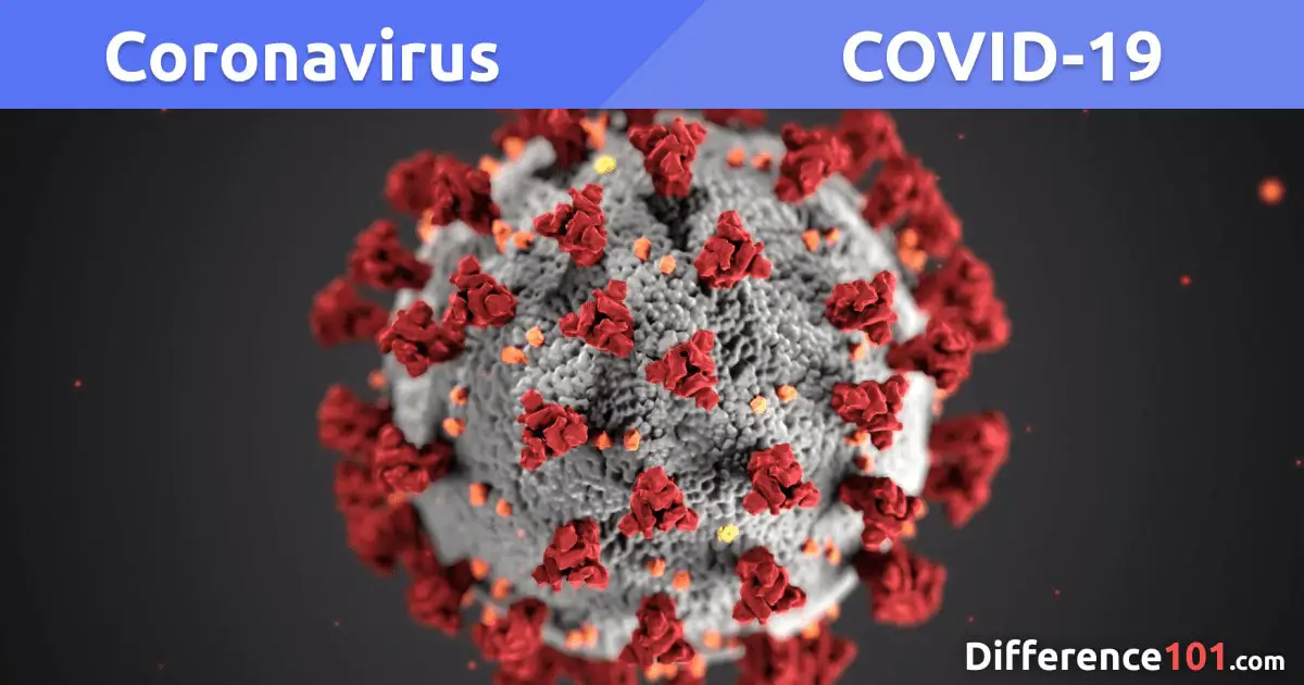 Coronavirus (COVID-19): What We Know So Far