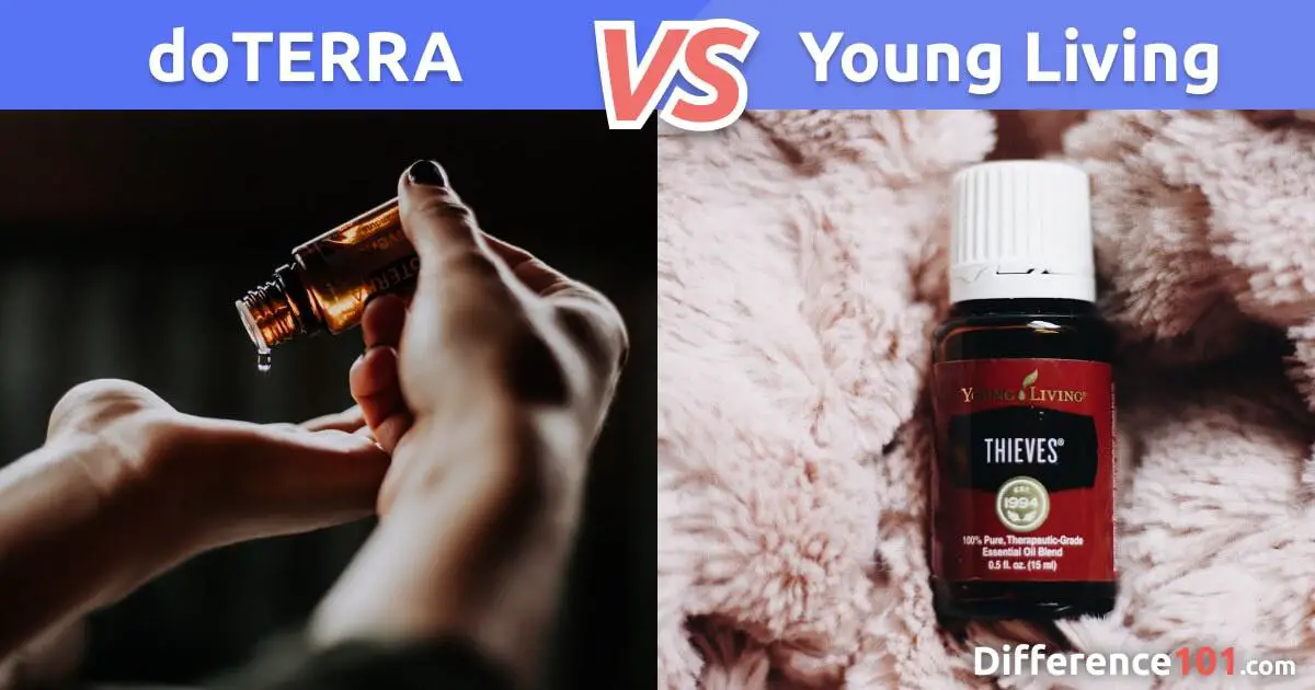 Óleos Essenciais da doTerra vs. Young Living: Qual É A Diferença?