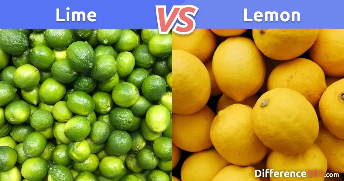 Lime vs. Lemon: Differences, Pros & Cons, Health