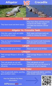 Alligator vs Crocodile Size, Pros & Cons - 6 Differences | Difference 101