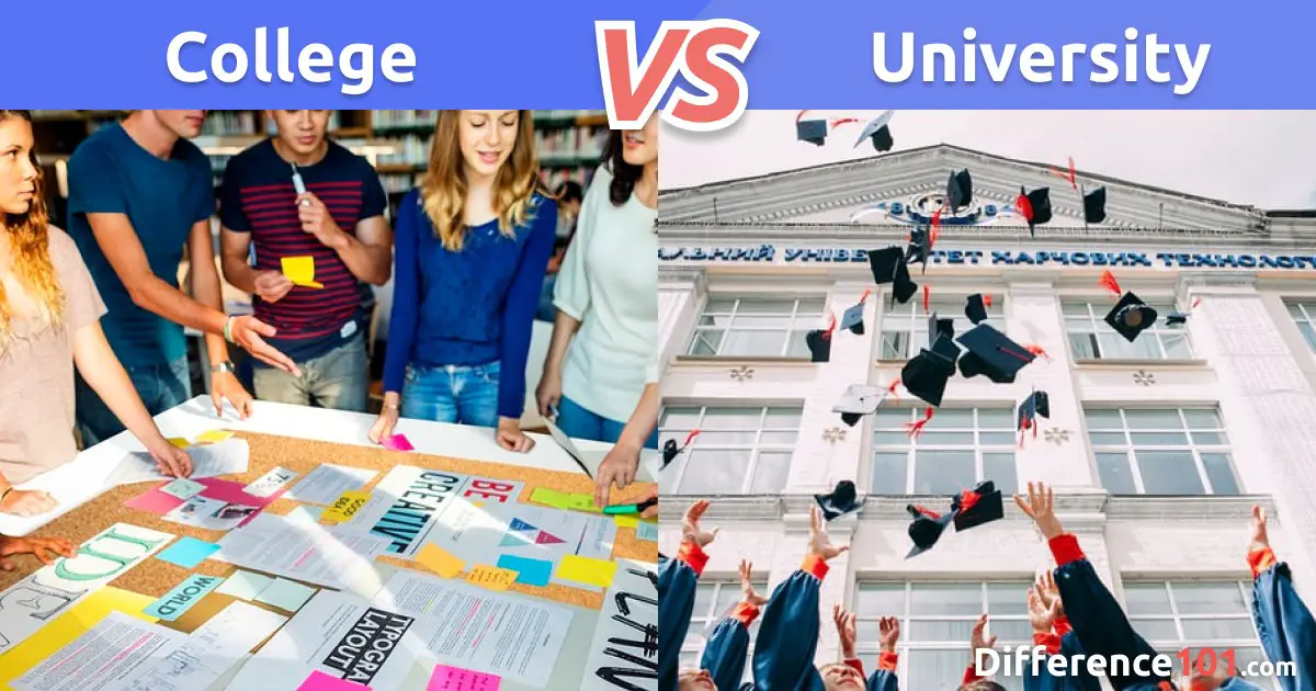 College vs. University: Differences, Pros & Cons, and which is better?