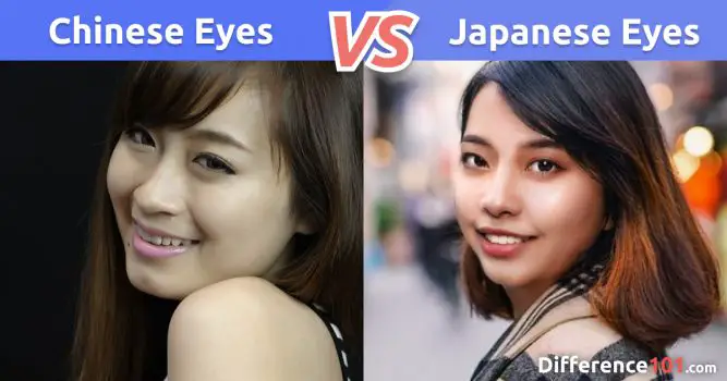 Chinese vs Japanese Eyes: 10 Key Differences To Know