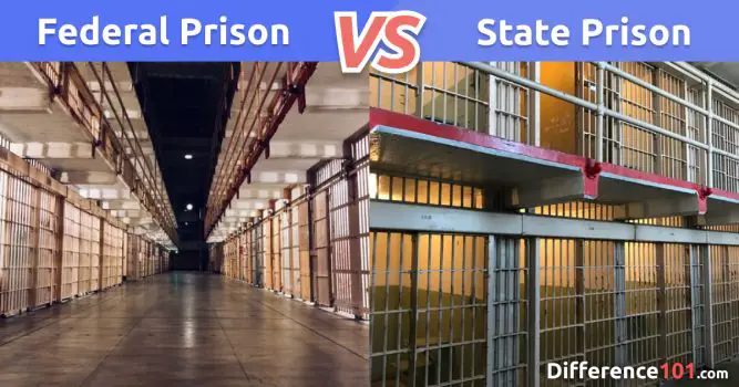 ???? Federal Prison vs State Prison: 7 Key Differences To Know