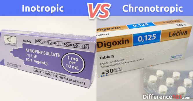 ​​Inotropic vs Chronotropic: 5 Key Differences, Pros & Cons, Examples