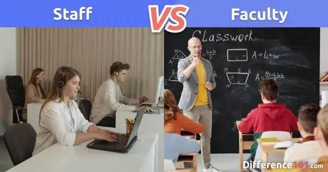 Staff vs Faculty: 7 Key Differences You Need To Know