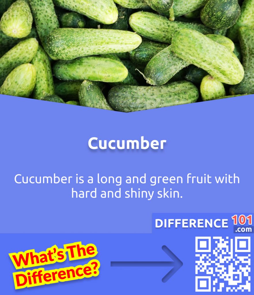 What is a Cucumber?
