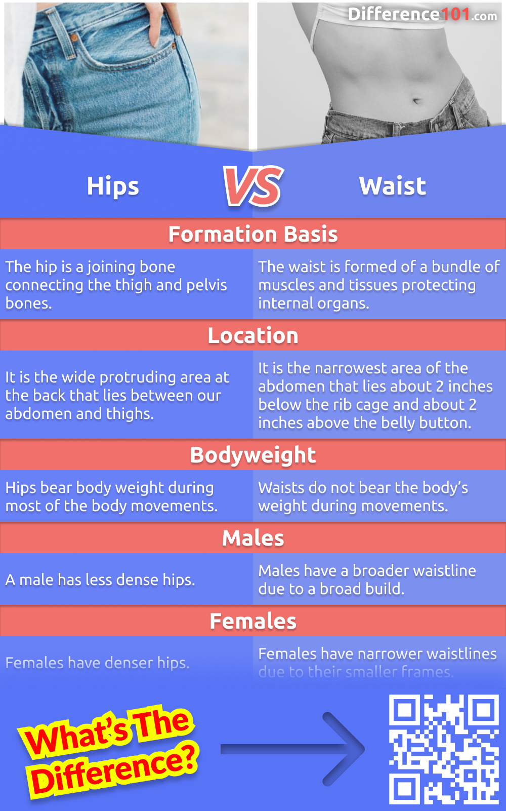 Hip And Waist Diagram at Cheryl Beasley blog