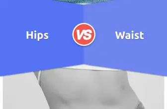 Hips vs Waist: 5 Key Differences & Examples To Know