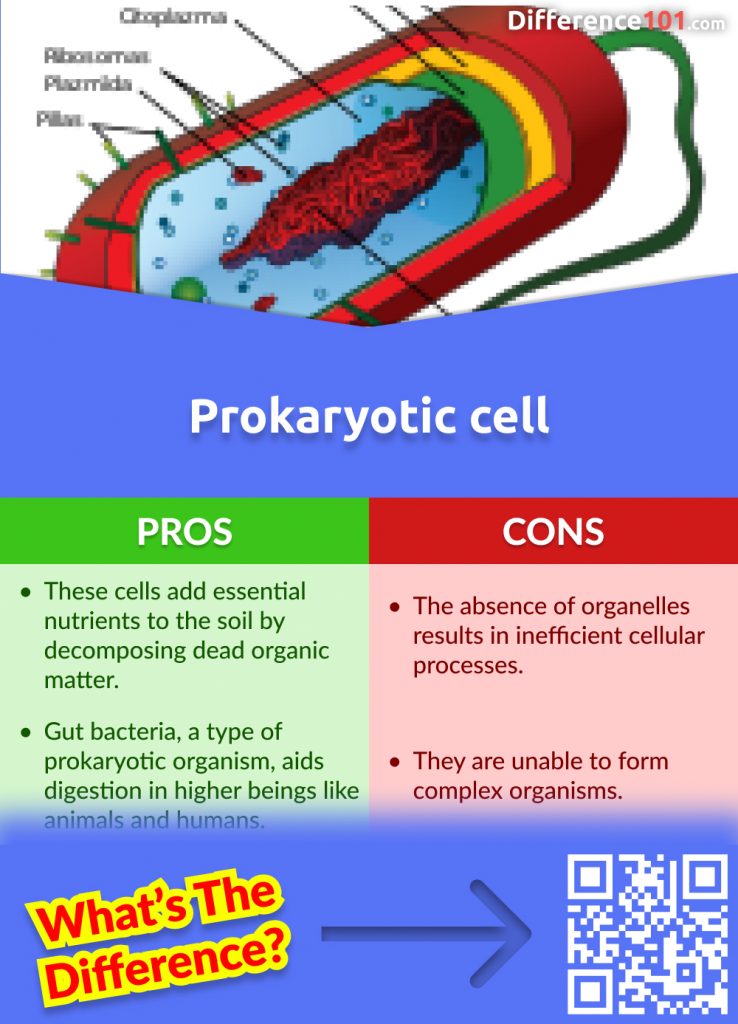 Prokaryotic Pros and Cons
