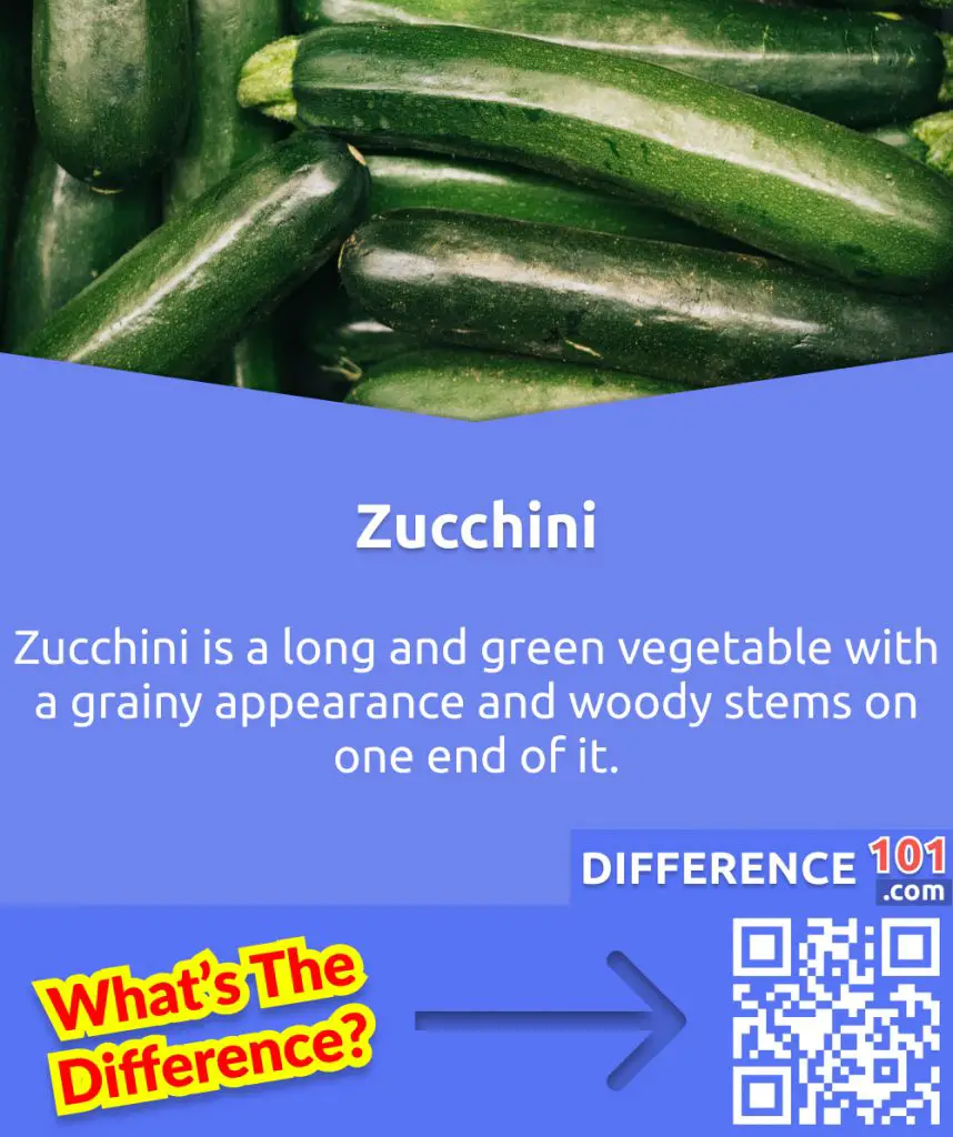 What is a Zucchini?
