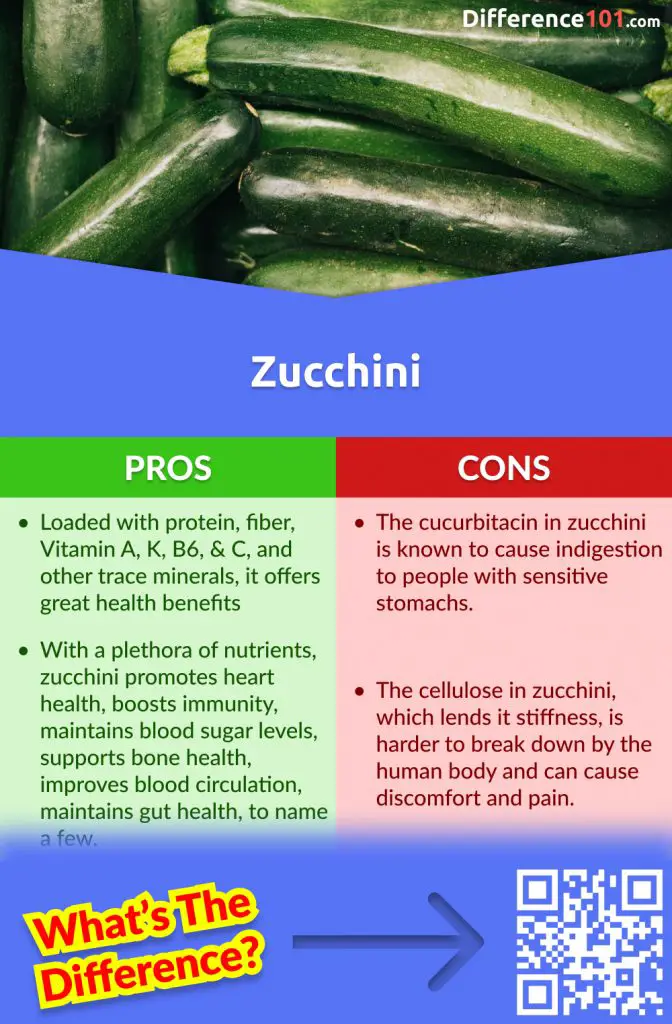 Zucchini Pros and Cons
