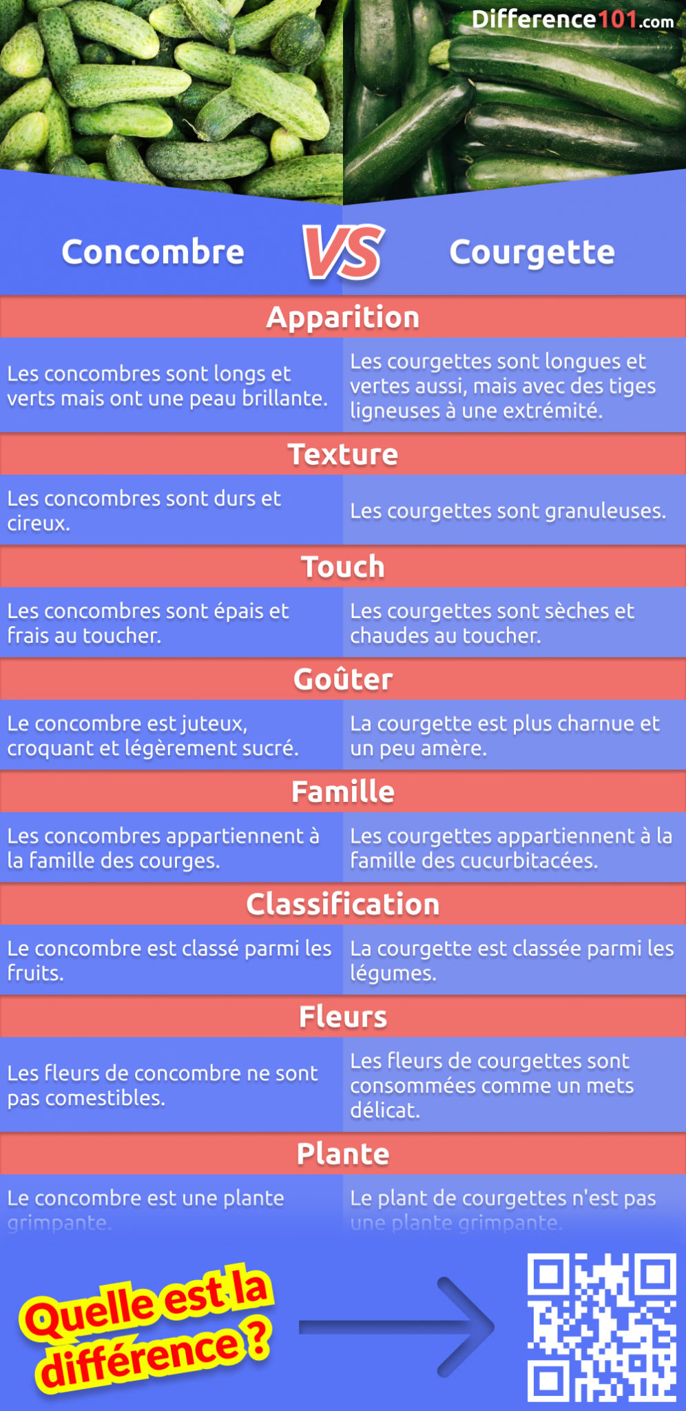 vs. Courgette 8 Différences, Exemples, Avantages & Inconvénients Difference 101