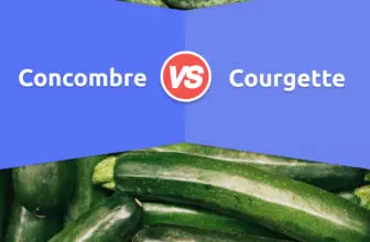 Concombre vs. Courgette: 8 Différences, Exemples, Avantages & Inconvénients