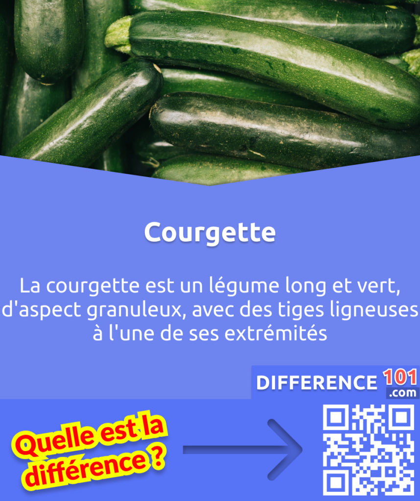 Qu'est-ce qu'une courgette? La courgette est un légume long et vert, d'aspect granuleux, avec des tiges ligneuses à l'une de ses extrémités.