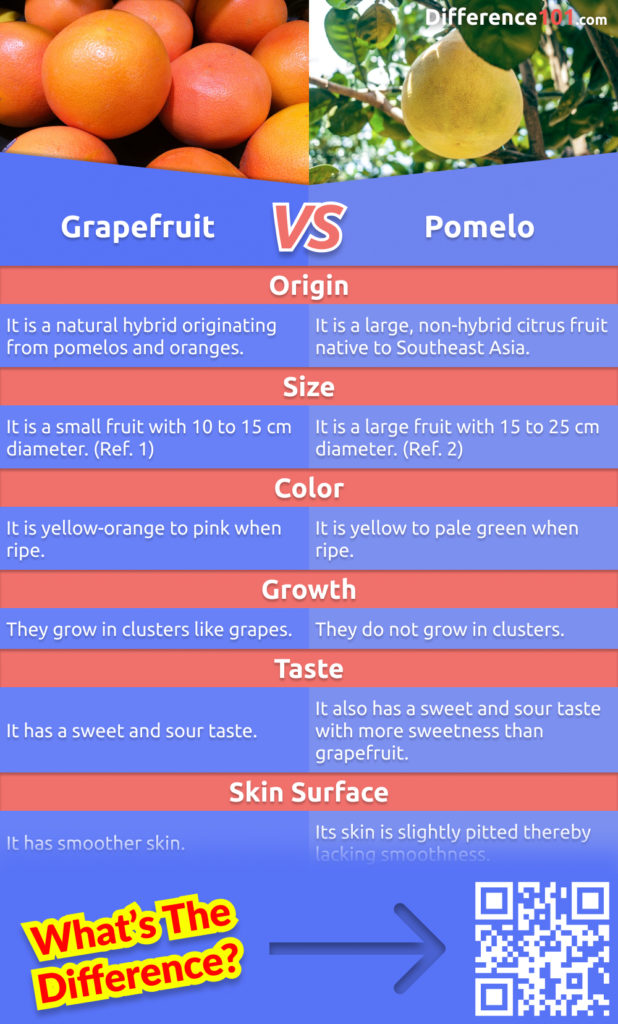 Grapefruit and pomelo are two types of citrus fruits that are similar in many ways. They have almost the same taste and have a similar color. But what is the difference between them?