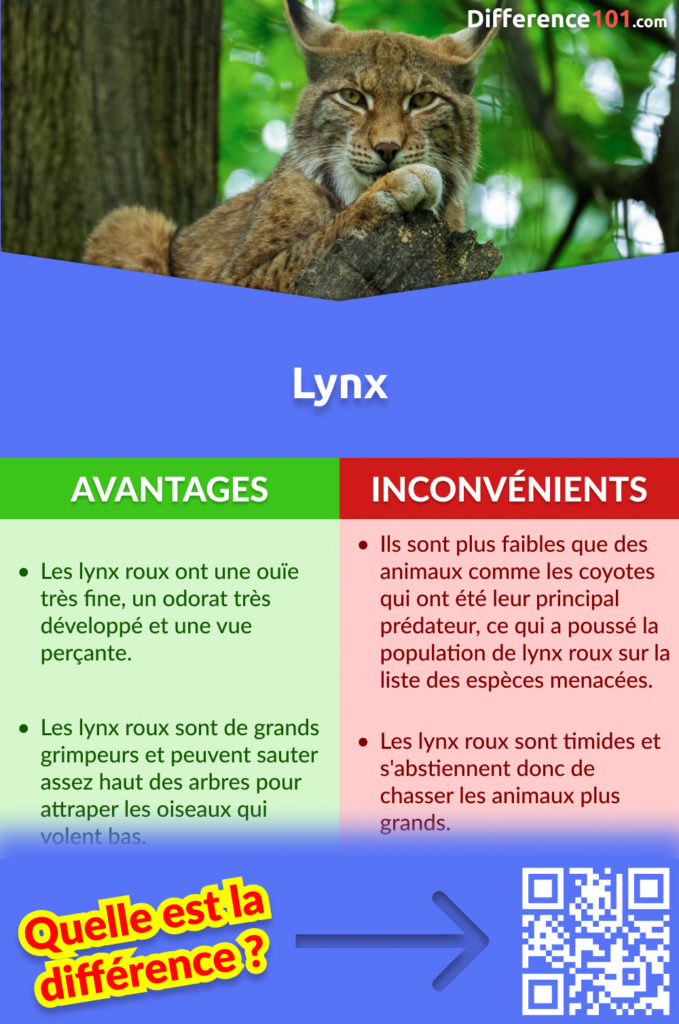 Lynx Points forts et Faiblesses
