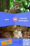🐆 Lynx contre Lion de montagne: 5 différences clés, avantages et inconvénients