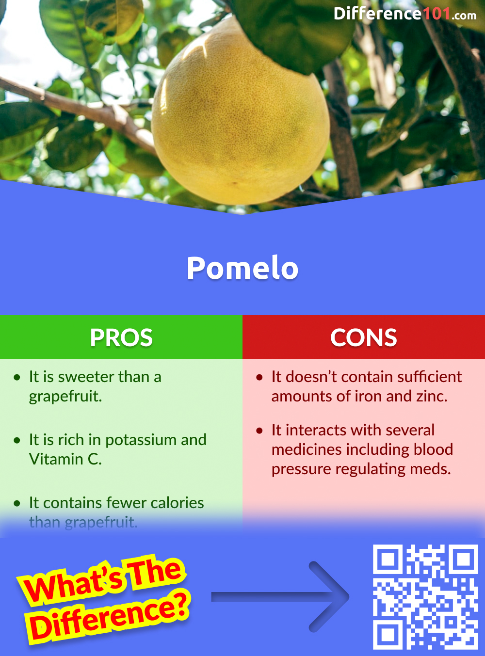 Grapefruit vs Pomelo 6 Key Differences, Pros & Cons, Examples