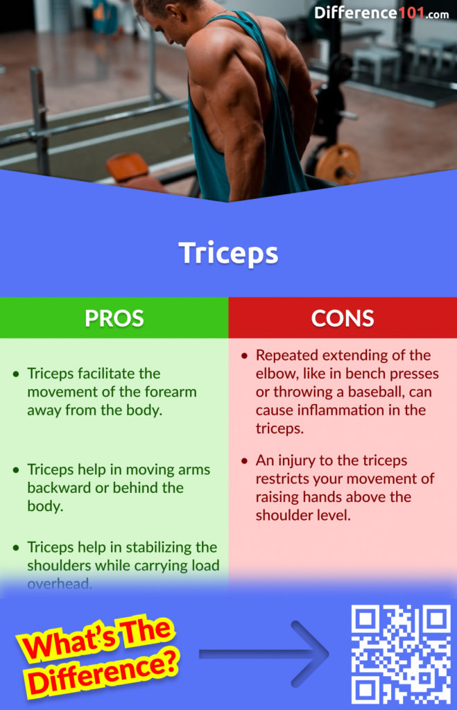 Triceps Pros and Cons