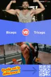 Biceps vs. Triceps: 4 différences clés, Avantages & Inconvénients, Exemples