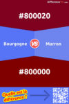 Bourgogne ou Marron: Correspondance des couleurs, différences et similitudes