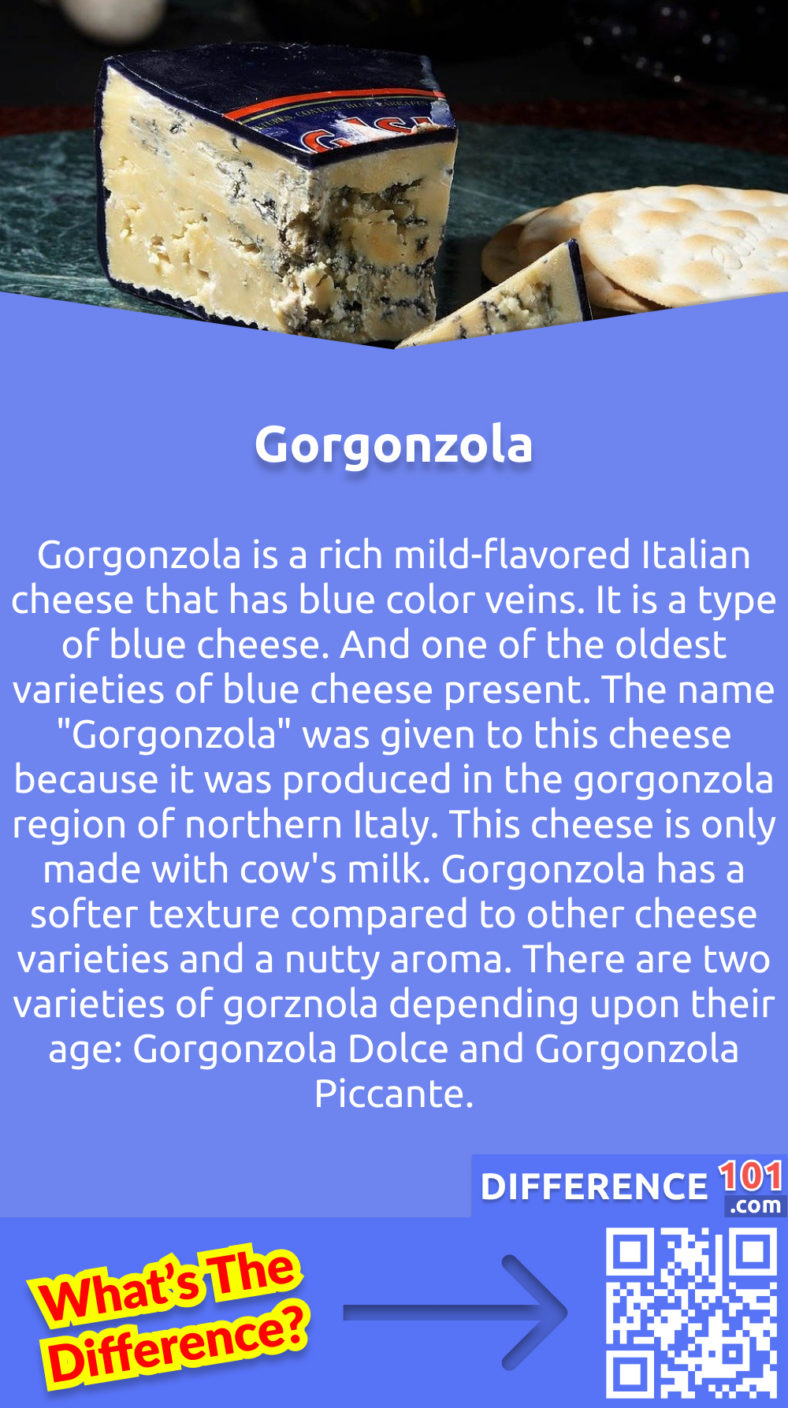 Gorgonzola Vs. Blue Cheese: 8 Key Differences, Pros & Cons ...