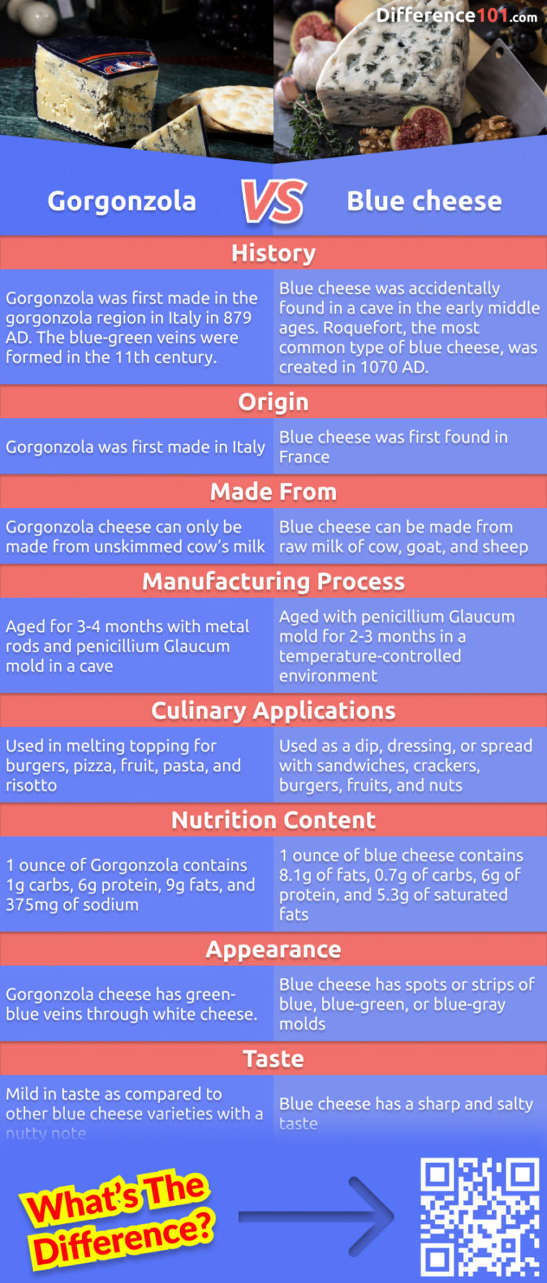 Gorgonzola vs. Blue cheese: 8 Key Differences, Pros & Cons ...