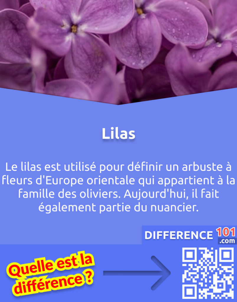 Qu'est-ce que le Lilas? Le lilas est utilisé pour définir un arbuste à fleurs d'Europe orientale qui appartient à la famille des oliviers. Aujourd'hui, il fait également partie du nuancier.