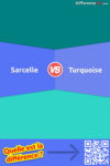 Sarcelle ou Turquoise ou Aqua ou Menthe: 6 différences essentielles à connaître.