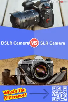 DSLR vs. SLR Camera: 6 Key Differences, Pros & Cons, FAQs