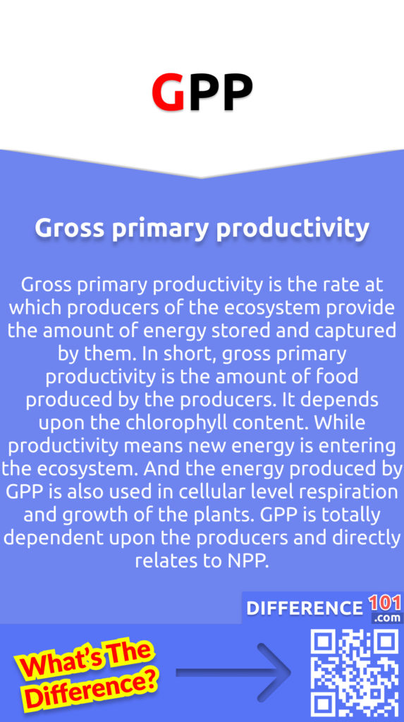 What is Gross primary productivity (GPP)? Gross primary productivity is the rate at which producers of the ecosystem provide the amount of energy stored and captured by them. In short, gross primary productivity is the amount of food produced by the producers. It depends upon the chlorophyll content. While productivity means new energy is entering the ecosystem. And the energy produced by GPP is also used in cellular level respiration and growth of the plants. GPP is totally dependent upon the producers and directly relates to NPP.