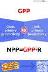 Gross primary productivity vs. Net primary productivity: 5 Key Differences, Pros & Cons, FAQs