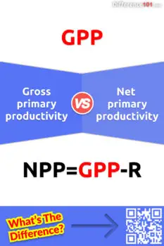 Gross primary productivity vs. Net primary productivity: 5 Key Differences, Pros & Cons, FAQs