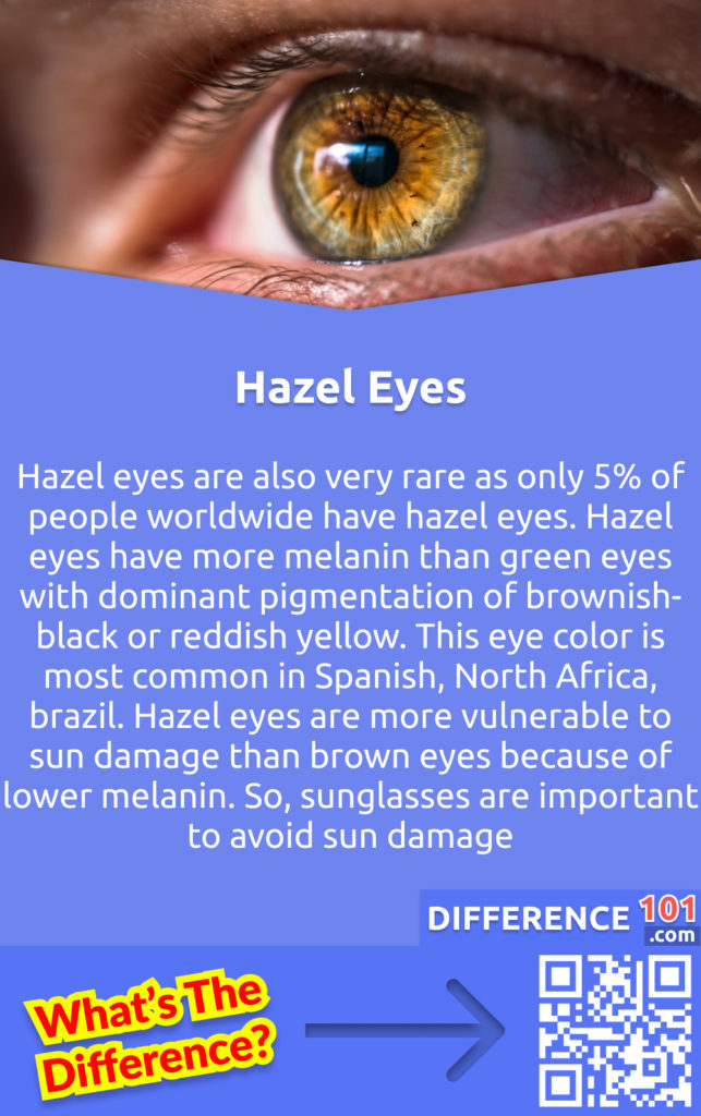 What Are Hazel Eyes? Hazel eyes are also very rare as only 5% of people worldwide have hazel eyes. Hazel eyes have more melanin than green eyes with dominant pigmentation of brownish-black or reddish yellow. This eye color is most common in Spanish, North Africa, brazil. Hazel eyes are more vulnerable to sun damage than brown eyes because of lower melanin. So, sunglasses are important to avoid sun damage.