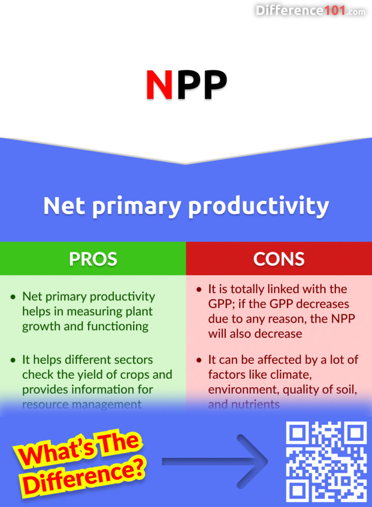 Pros and cons of Net primary productivity