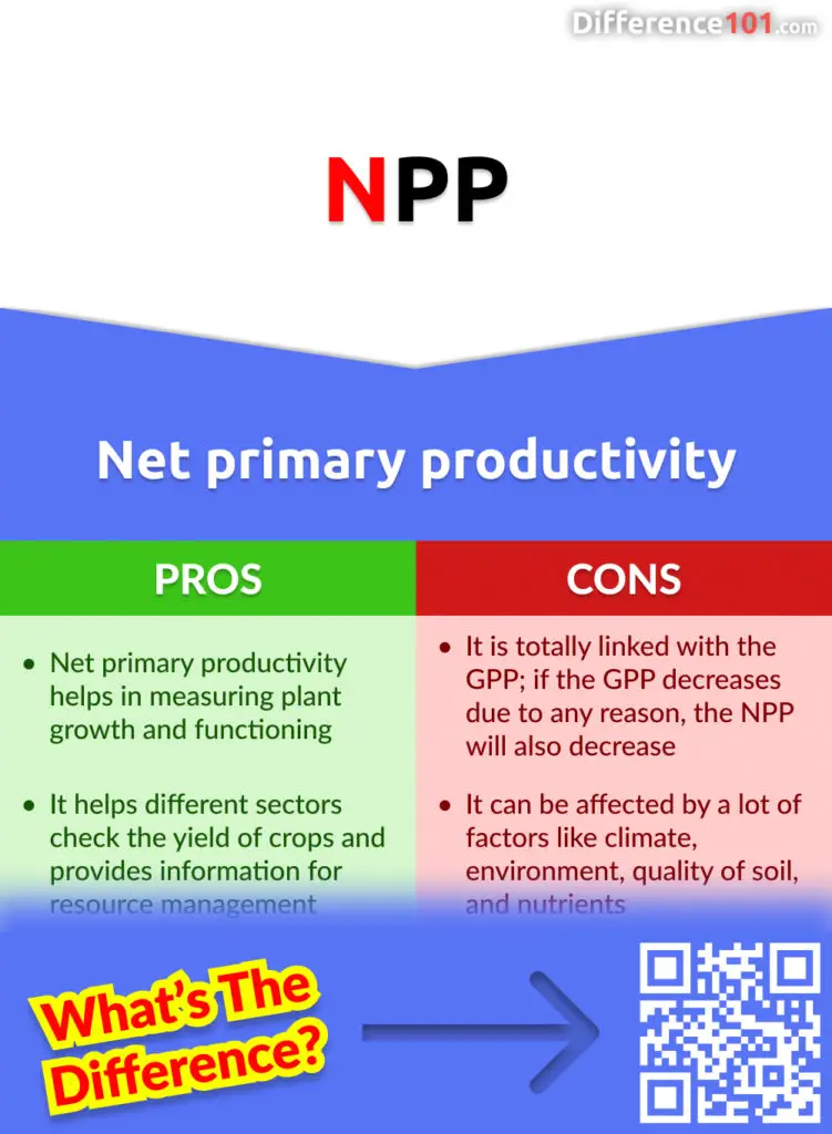 Gross Primary Productivity Vs Net Primary Productivity 5 Key 