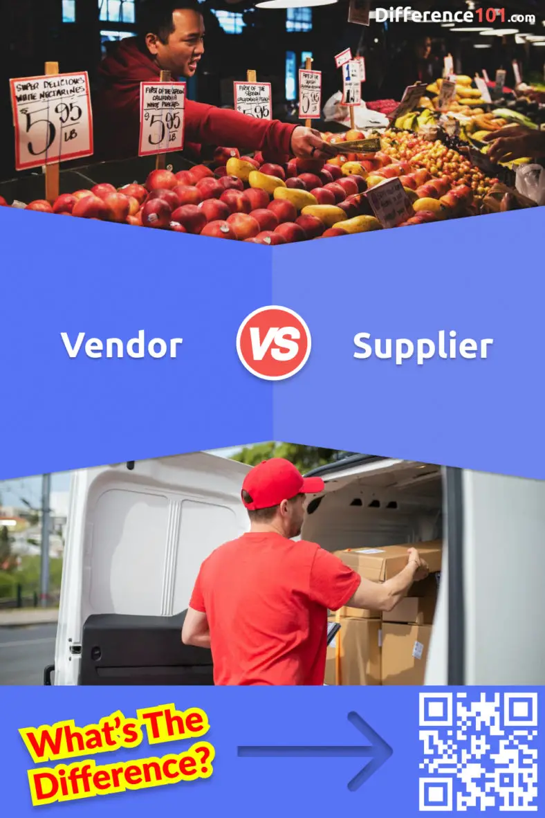 Vendor Vs Supplier: 6 Key Differences, Pros & Cons, Similarities ...