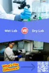 Wet Lab vs. Dry Lab: 5 Key Differences, Pros & Cons, FAQs