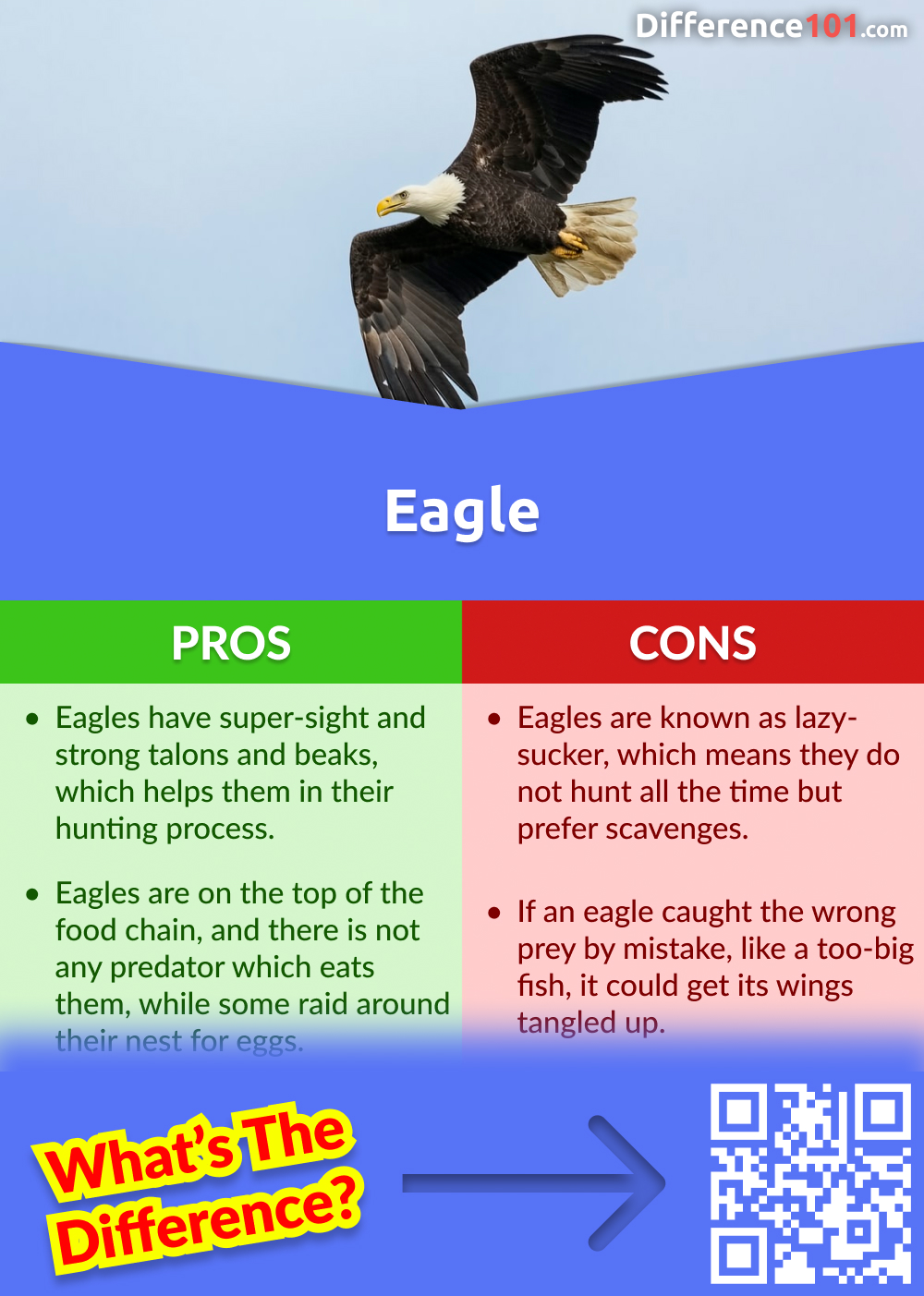 Eagle Pros and Cons
